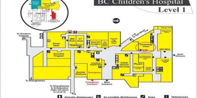 Harta bc spitalul de copii