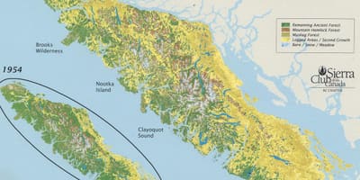 Pădurile tropicale insula vancouver arată hartă